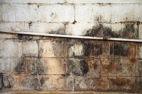 Photo of damp, wet, moldy block foundation wall